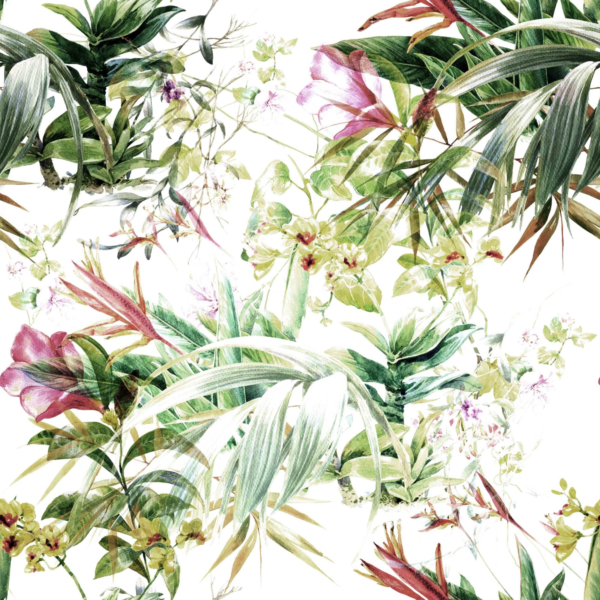 Tropical Muse tropical wallpaper – LH Lifestyle